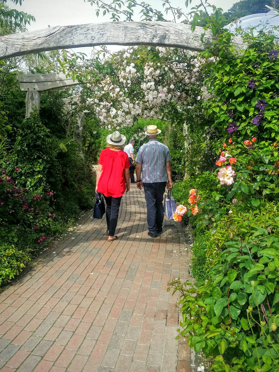 hashtag#edenphotocomp