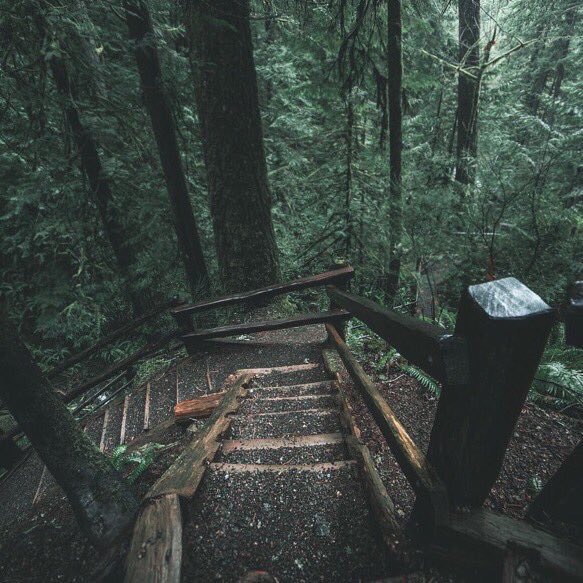 adventurful's tweet photo. Washington has my heart 🌲 https://t.co/jyMB1xf7IY