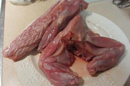 inbusyble's tweet photo. Iguana meat https://t.co/shVnXQsOV5
