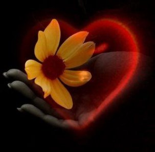 soniakuk76's tweet photo. Mirame profundo, para que mirándote me enamores y con una caricia te entregue mi vida.❤ https://t.co/90vbQWmisT