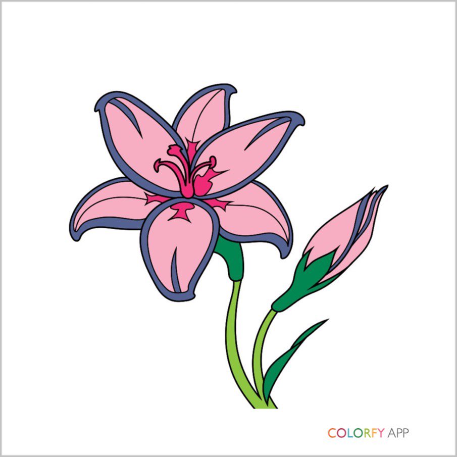 sillymimah's tweet photo. How cute is this?!    #colorfy #painteditmyself #coloringbook https://t.co/8l5mcrS8cK https://t.co/tYtYcvKxX7
