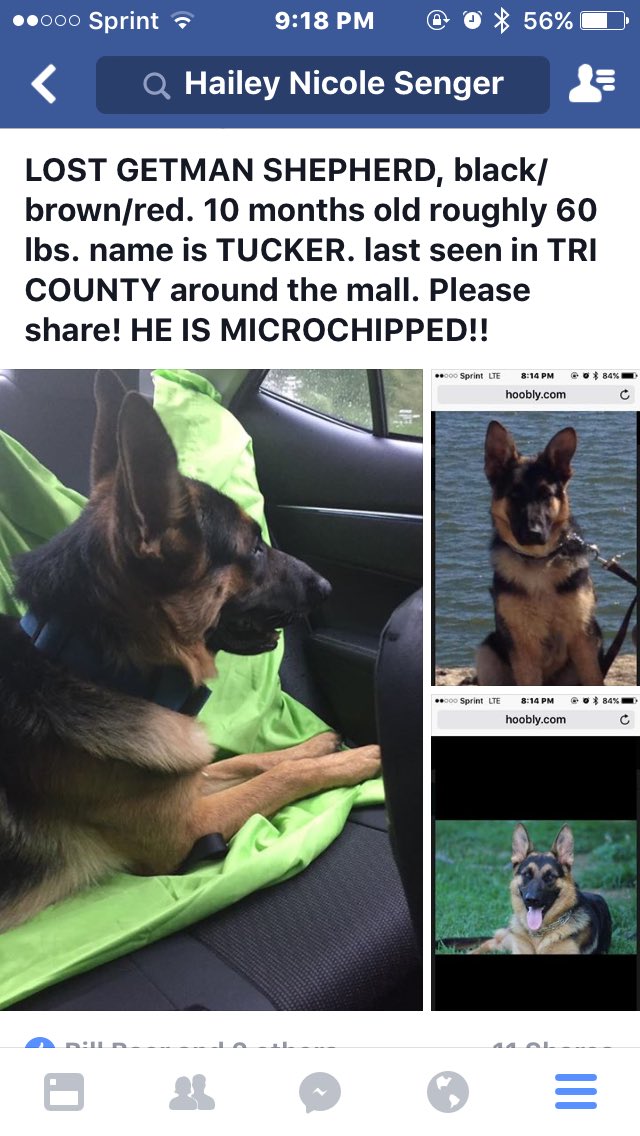 Hailey Nicole Hailey Senger Twitter