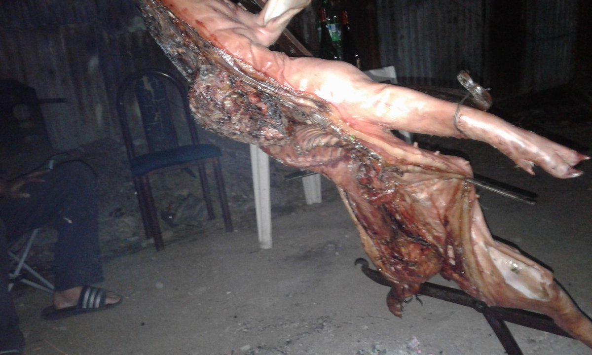 Disfrutando el sabado