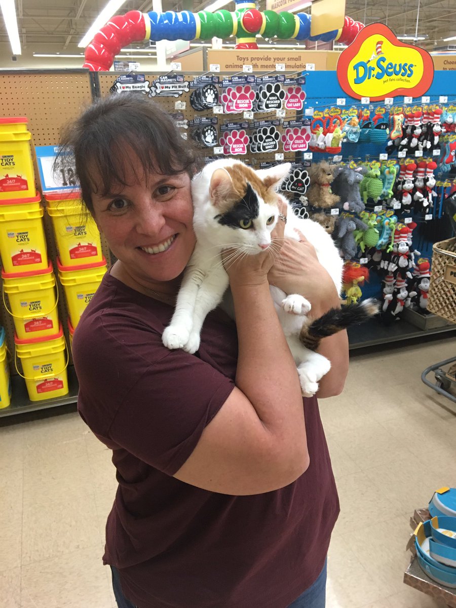 tovlake's tweet photo. Meet Ashley #saveafurbaby https://t.co/obwp2SAaiR