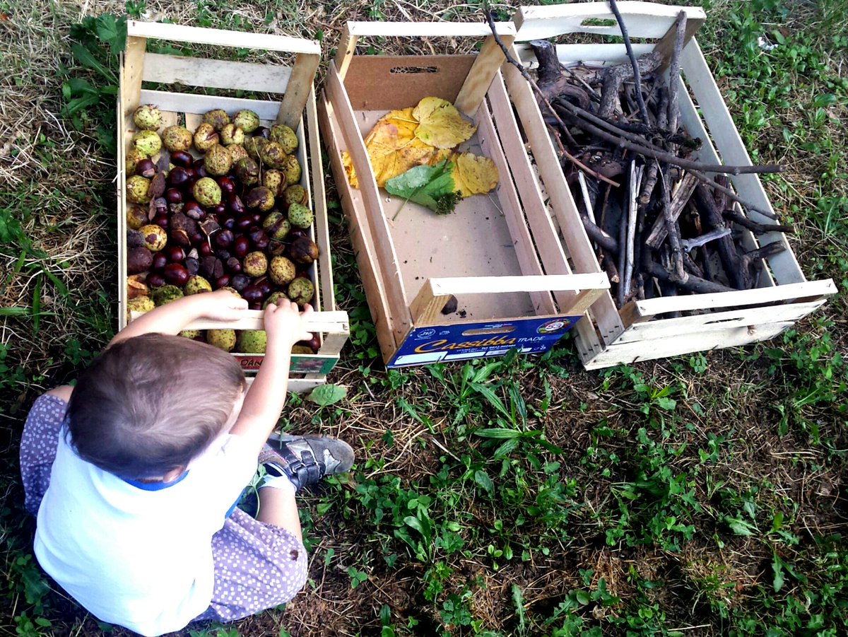 il_bosco_acm's tweet photo. Yoga, riflessologia, arti marziali e.. bimbi in #Armonianelbosco🍃😊! Scuola Lotto, v.Tadini #Malpensata #Bergamo https://t.co/l9AfhjdggV