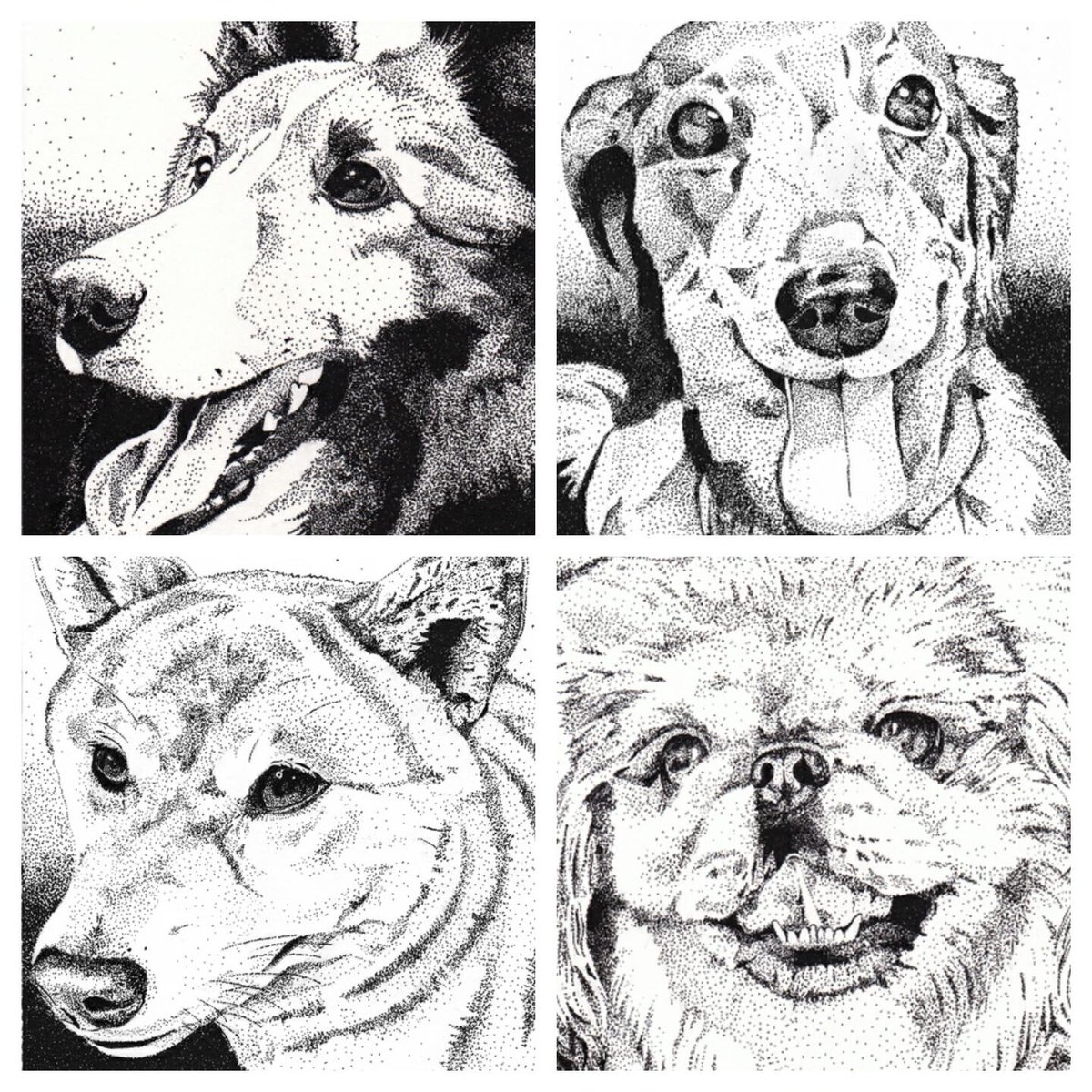 Canis A Twitter たまには絵の話 ペン画 鉛筆 色鉛筆画って 細密画 と称されることが多くて 私の絵も細かさを褒められることがあるのだけど 本人は 細密画 を描いてるつもりは全く無く リアルめな イラスト 的な感じでゆる く描いてます