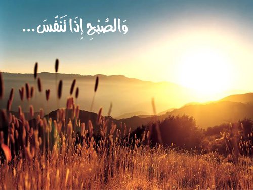 KhutaTaghier's tweet photo. فرصة جديدة لتكون أكثر إقبالا على الحياة✨
واغتناما لها.. 

#رابطة_عشاق_الصباح
#التغيير_قرار https://t.co/bMsPnVu0Cd