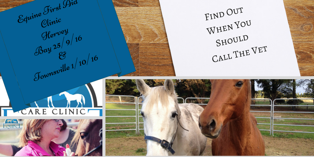 EquineCC's tweet image. Learn when to #callthevet and #whentoworry#equinecareclinic BOOK NOW limited places bit.ly/2bIbPXy #horses