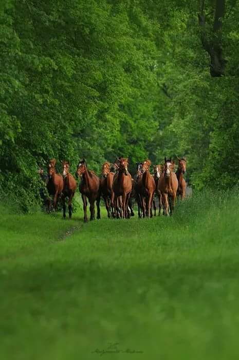 Nathaly22S's tweet photo. 🌷👫 #TEAM1DIANA 👭🌷
🌷⇩FOLLOW⇩🌷   @666_alhlwan @Arab_Arabism @2020sahara @perrro2 @Chuca_85 @LiliBodo https://t.co/6fZyFNOn7m