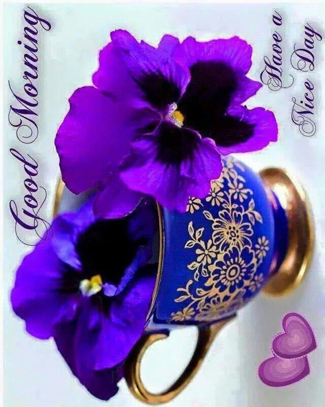 davidbryan616's tweet image. To all on Twitter and those that are not I say have a nice pleasant peaceful and pleasing day to remember with joy