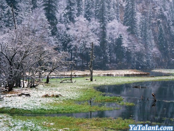yatalant's tweet photo. Апрельский лес

  https://t.co/vcKDZbclxt https://t.co/UazilJoMMO