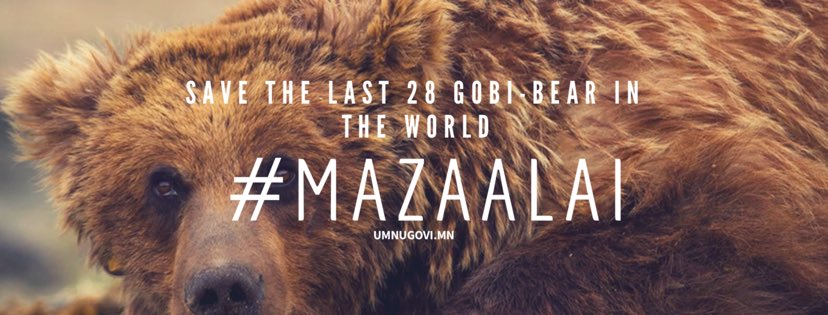 Bayar Nyamsan (@bayar0711) on Twitter photo 