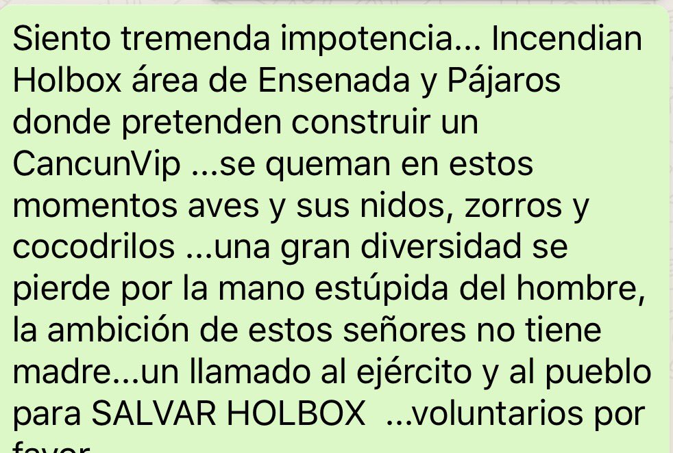 pedrokanche's tweet photo. #QuemanHolbox el manglar y especies en cenizas esta noche @fernandeznorona @AlbaniaOC #SOSHolbox @JohnMAckerman https://t.co/T79raE2qHu