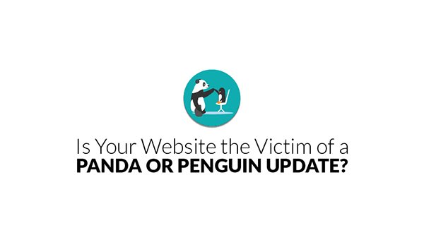 Red Website Design tweet media