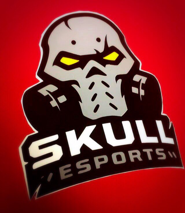 AlphaStickers's tweet image. Just got done making these awesome stickers for @SkullEsports! (This sticker includes the word mark)