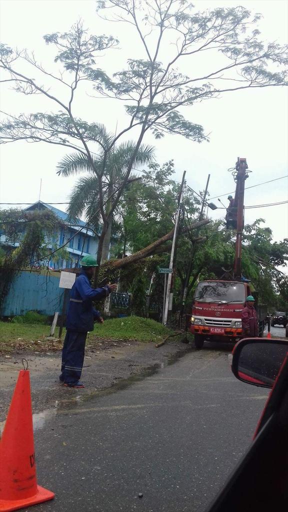 Pohon tumbang di dekat Gedung KNPI (Jalur DOME BSCC) Jalan Ruhui Rahayu, Minggu (18/9) 14.28 Wita, Foto: Lina Icha