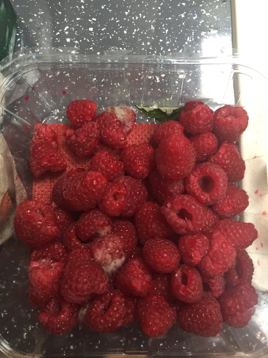 KristenHoward's tweet photo. @sainsburys chicken deliv 15/09 with UBD 16/09. No flag fr driver. Also got sent mouldy raspberries #notgoodenough https://t.co/IZEVQ5OXAY