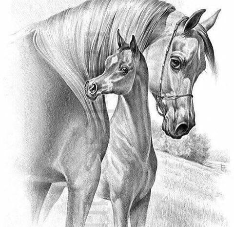 صباحكم يوم جميل مليء بالسعاده يارب