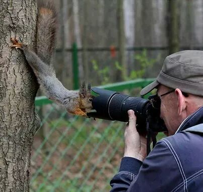 ibizweb's tweet image. #Sundaymorning greetings peeps 
Let's get out there and have some #recreation time 
youtube.com/channel/UCpaAt…