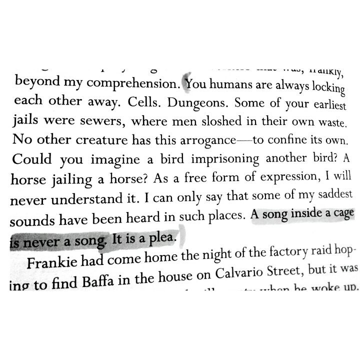 maya_ammoury's tweet photo. #themagicstrings @MitchAlbom https://t.co/kUgSvIl27A