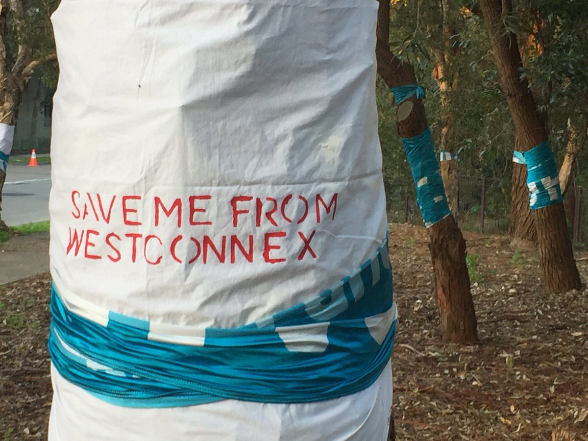 Lorrie_Graham's tweet photo. Come to  Euston and Sydney Rds tomorrow @ 8am and STOP @mikebairdMP 's WestCONnex from destroying our  Sydney park https://t.co/Z5LtBszGXT