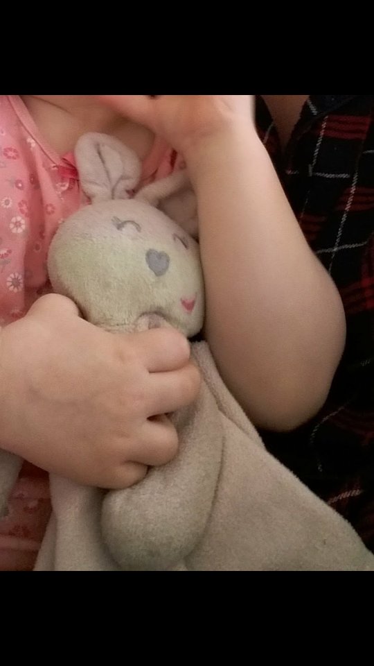 sunflick's tweet image. @msm4rsh  2 year old lost adored bunny in Swinton yesterday. Retweet would be hugely appreciated. Thanks