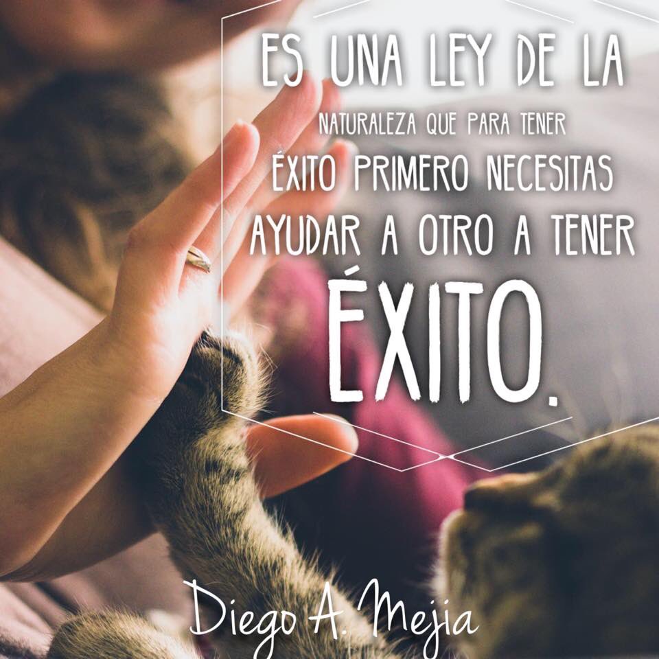 Andrés Villegas tweet media
