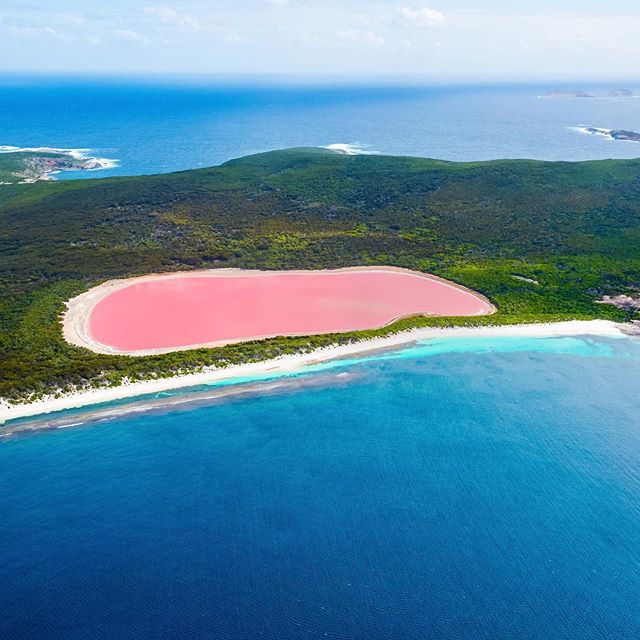 Australia's tweet photo. Bright pink lakes and azure seas - the colours of #Esperance in the @Golden_Outback 👌 (Photo: @lovethywalrus) https://t.co/03HhQdefjs