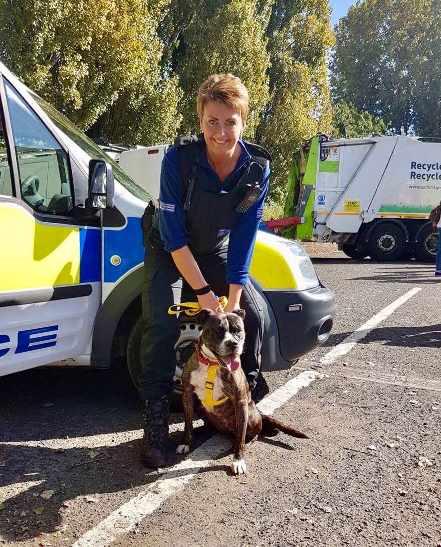 Rochdale Dog Rescue on Twitter "Petals Day Out ️ If you are interested