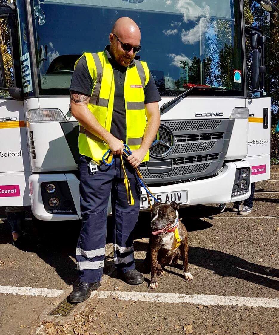 Rochdale Dog Rescue on Twitter "Petals Day Out ️ If you are interested