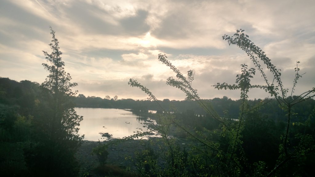 MosesCLE's tweet photo. #Eastquarrytrails #kelleysisland #morningsolitude #trailrunning #kI2016 #Ohio @Kelleys_Island @KelleysIslandOh https://t.co/toovPYWxyE