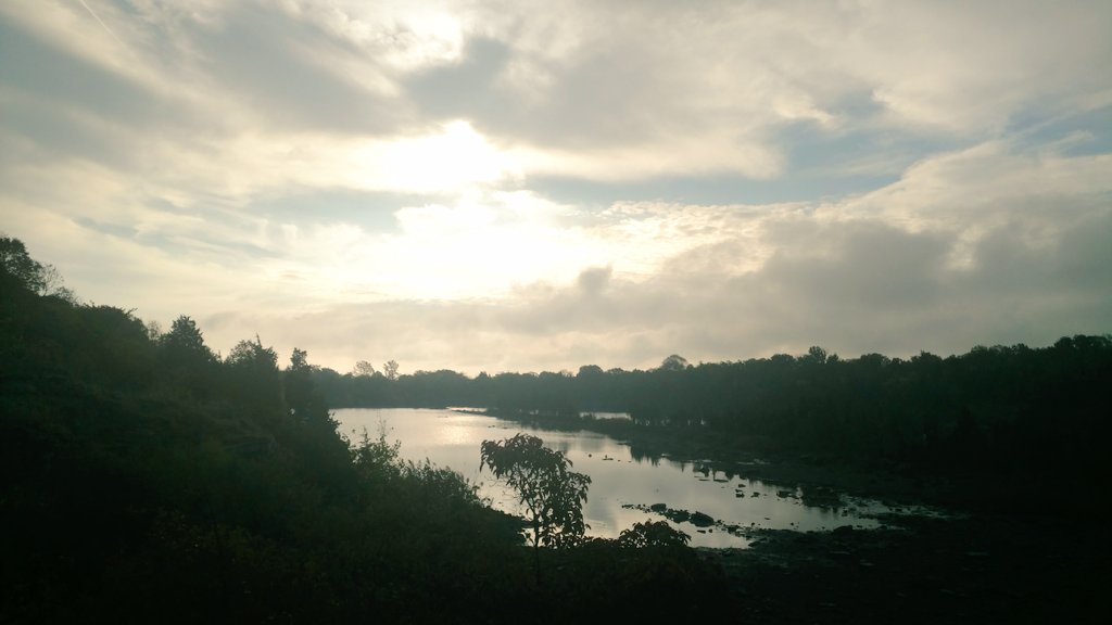 MosesCLE's tweet photo. #Eastquarrytrails #kelleysisland #morningsolitude #trailrunning #kI2016 #Ohio @Kelleys_Island @KelleysIslandOh https://t.co/toovPYWxyE