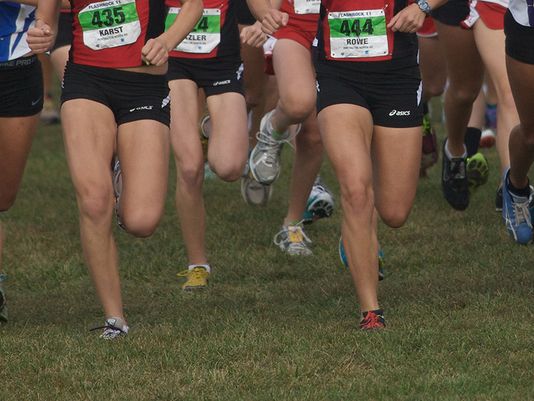 P_Shepherd's tweet photo. HS #XC: Runners hope to use #FlashRock as springboard for state -My story https://t.co/EtMMtDypat via @indystar https://t.co/p4RsY1zVew