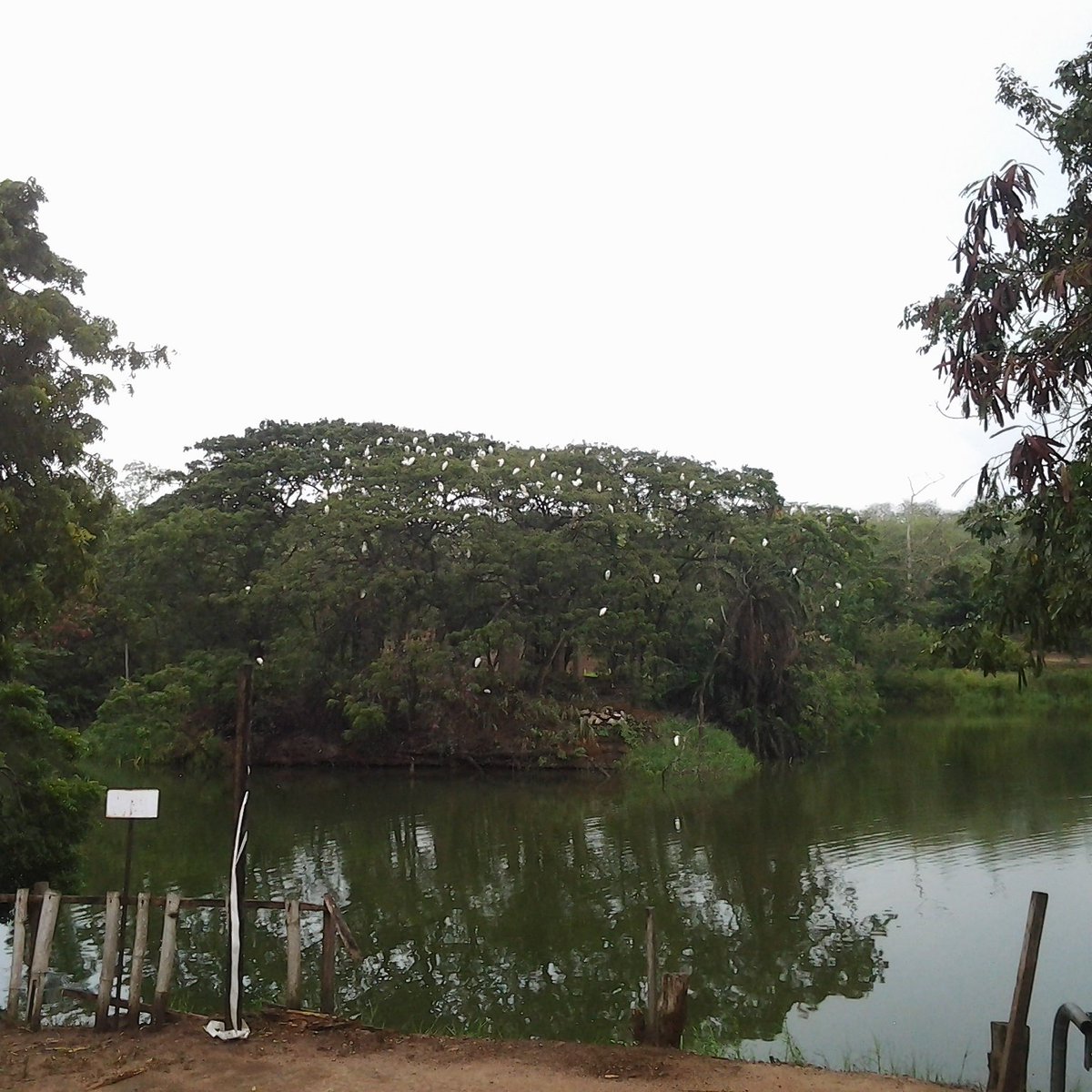 destination_gh's tweet photo. LEGON BOTANICAL GARDENS

Uniquely designed for those looking for somewhere special to take the whole family. https://t.co/zROwK3omlk