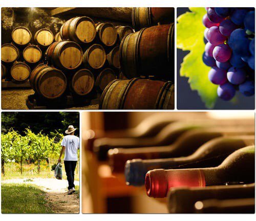 CFoleyGentry's tweet image. I have so much fun playing #Wordie challenge your mind now playing for free now, just go to wordieapp.com