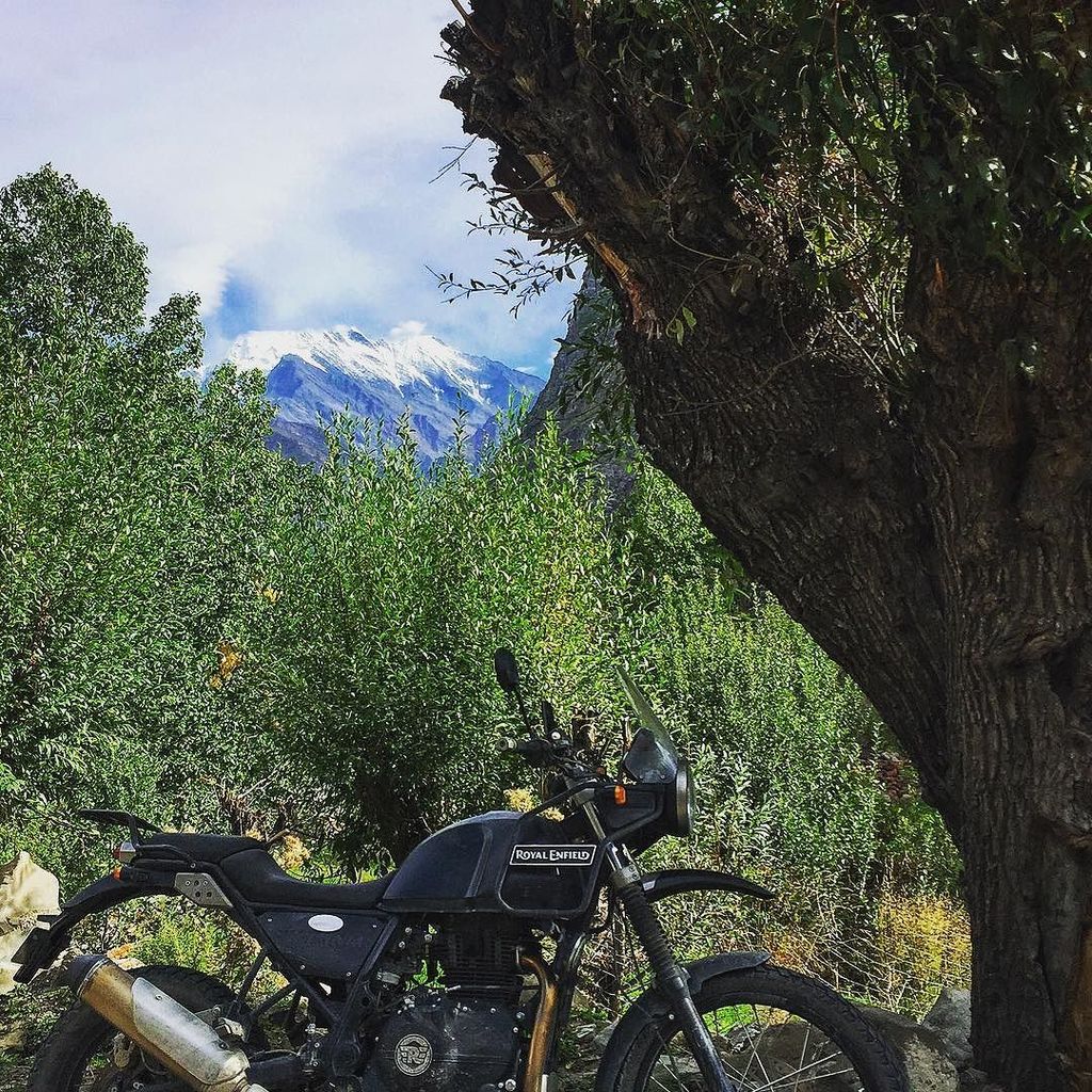 So the crew in Manali found me a replacement Himalayan for the rest of the ride. I suddenly wasn't so blue anymore.