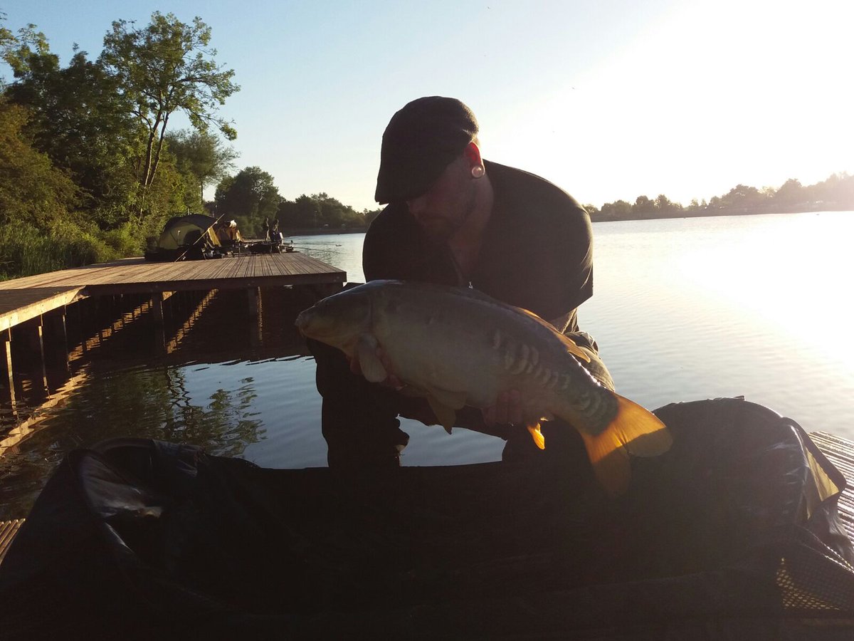 AddictionCarp tweet picture
