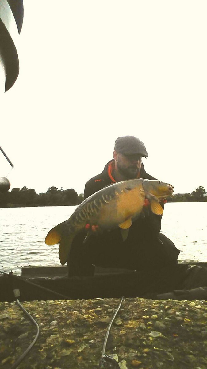 AddictionCarp tweet picture