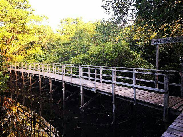 hellobaliguide's tweet photo. Need a break from the beach? Here's a Sunday afternoon stroll suggestion: Suwung Kawuh Mangrove. #hellobaliguide https://t.co/6N0ot5y4Jl