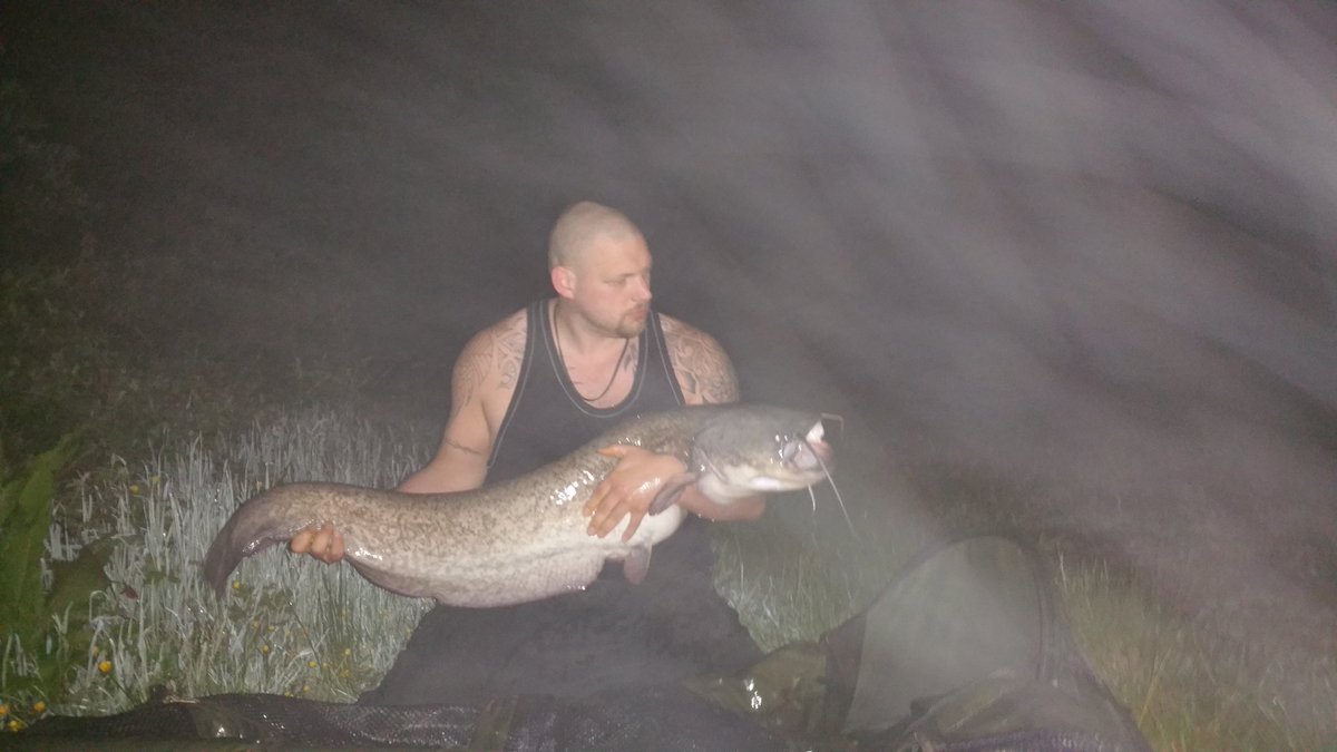 AddictionCarp tweet picture
