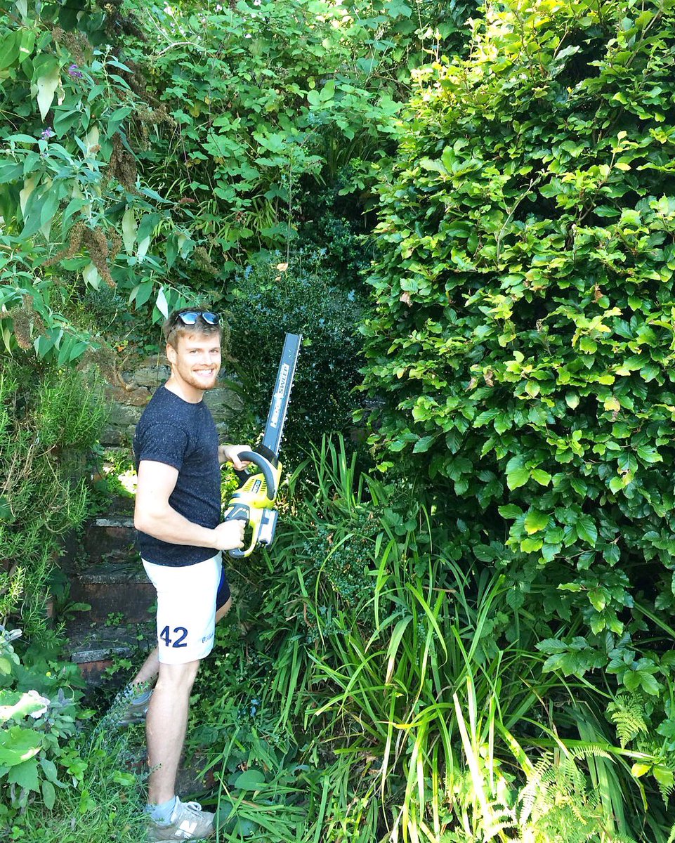 RyobiToolsEU's tweet photo. Tackle all the hedges in your garden with the freedom of cordless! #cutthecord https://t.co/ANMGtLOijP #ryobitoolseu https://t.co/YwcGQLPWrH