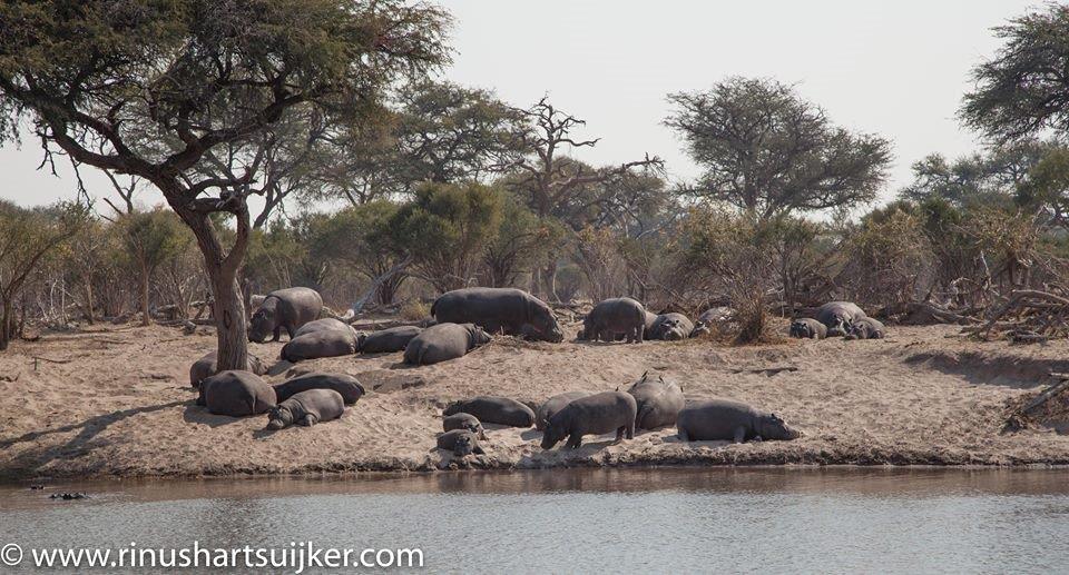 RreMarshell's tweet image. 