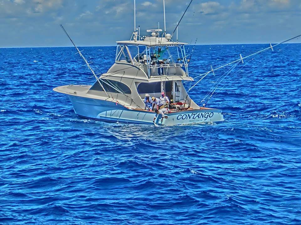 Contango Sportfishing Charters (North Carolina &amp; Maryland) bit.ly/1E1QjWf