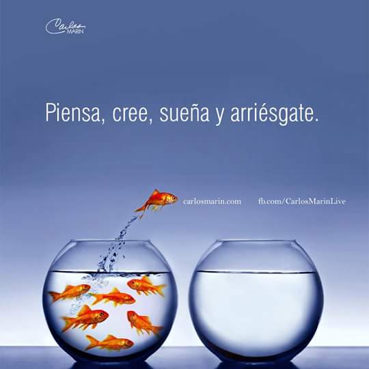 Gceli12's tweet photo. #CreerCreando https://t.co/fJO22VwzLC