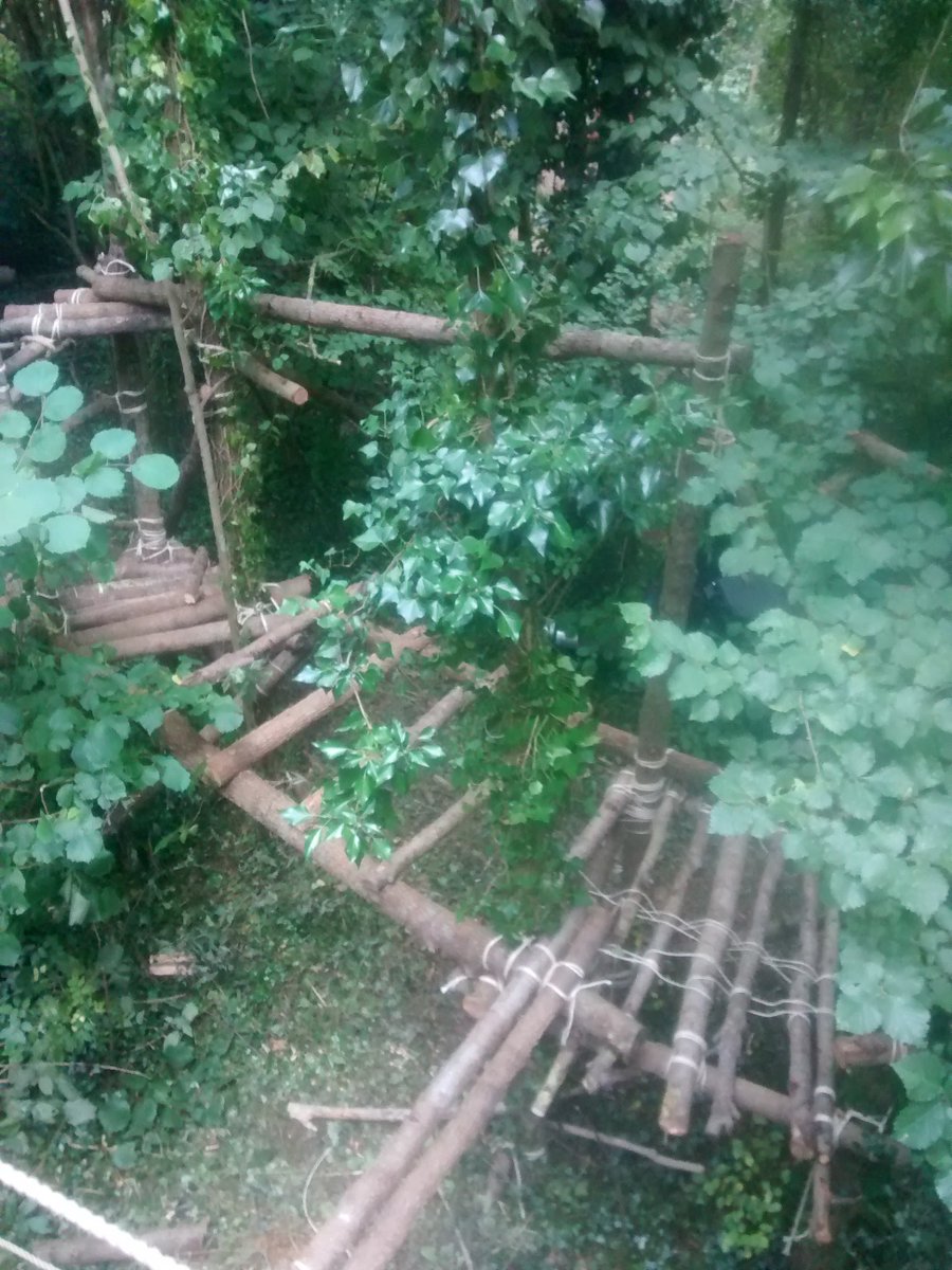 BasecampInWood's tweet photo. The first Woodland Basecamp was a fantastic success! Here are some treehouses, walkways and towers the group built.. https://t.co/xUWx9ZmJBy