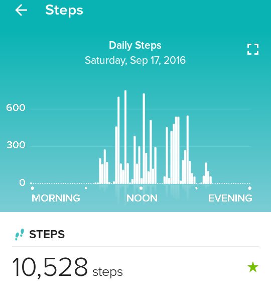 sarahdrosendahl's tweet photo. #bugfest2016 is the 1st time since I got my fitbit the week before Easter that I've ever gotten 10k steps in one day https://t.co/dwUOc3djly