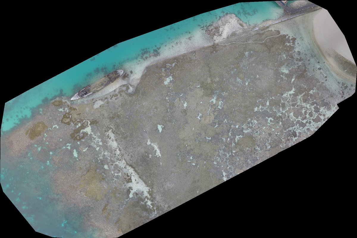 DrKJoyce's tweet image. First quicklook mosaic #sheflies #coralreef #remotesensing @JXavierLeon @stuartphinn @SusannahLeahy @ChrisRoelfsema