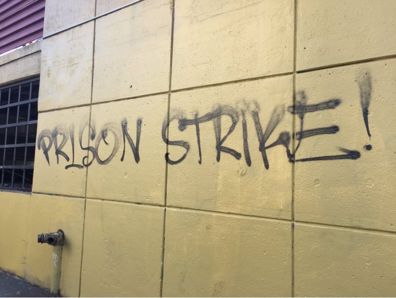 WeedilyDeedily's tweet photo. Prison Labor Strike Spreads To At Least Twelve States | https://t.co/skWH9Xom6X | #Peripheryiii https://t.co/nsXeFgn6sh