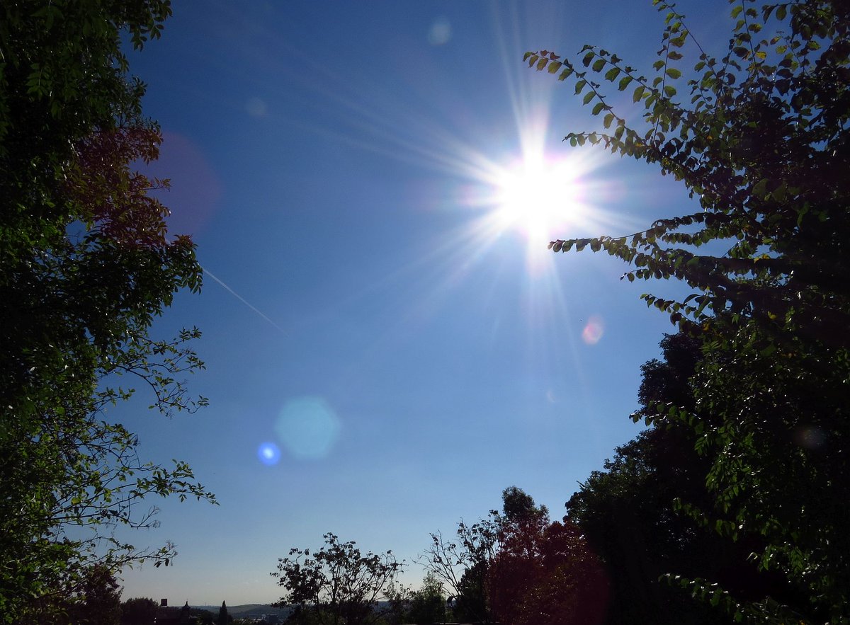 angegarrod's tweet image. Blue blue electric(tardis) blue :) #autumn #Spetember #autumnwatch
