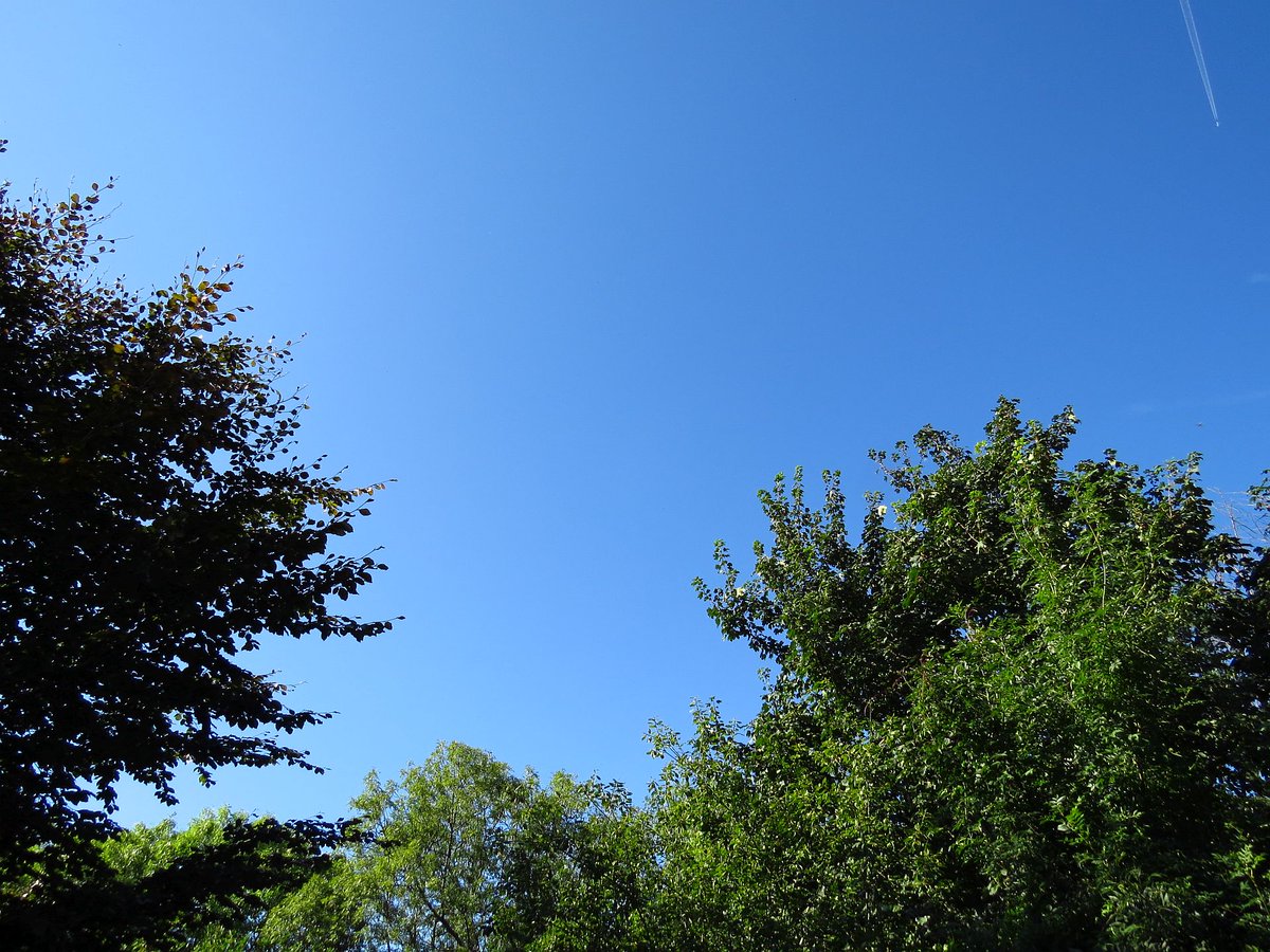 angegarrod's tweet image. Blue blue electric(tardis) blue :) #autumn #Spetember #autumnwatch